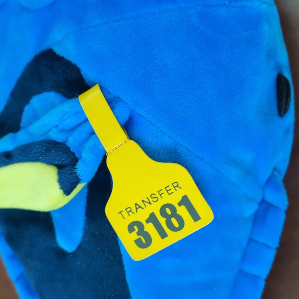 Disney Dory Plush - Picture 6 of 10